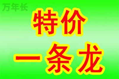 天津市滨海新区墓地下葬流程